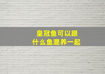 皇冠鱼可以跟什么鱼混养一起