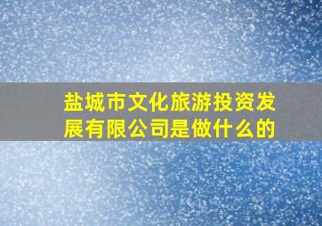 盐城市文化旅游投资发展有限公司是做什么的