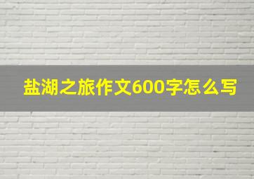 盐湖之旅作文600字怎么写