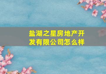 盐湖之星房地产开发有限公司怎么样