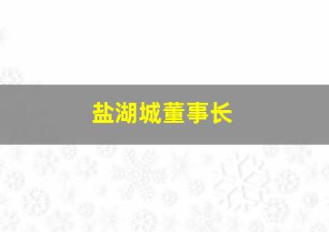 盐湖城董事长