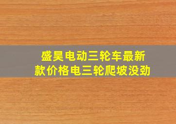 盛昊电动三轮车最新款价格电三轮爬坡没劲