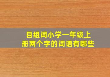 目组词小学一年级上册两个字的词语有哪些