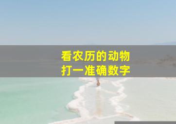 看农历的动物打一准确数字