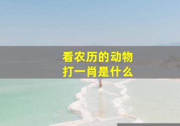 看农历的动物打一肖是什么