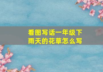 看图写话一年级下雨天的花草怎么写