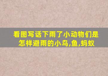 看图写话下雨了小动物们是怎样避雨的小鸟,鱼,蚂蚁