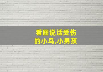 看图说话受伤的小鸟,小男孩