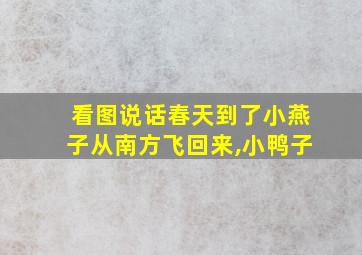 看图说话春天到了小燕子从南方飞回来,小鸭子