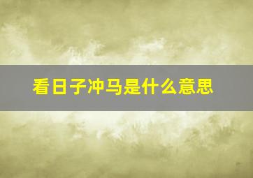 看日子冲马是什么意思