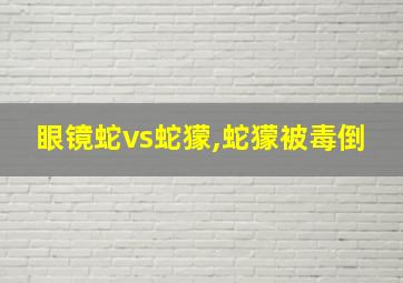 眼镜蛇vs蛇獴,蛇獴被毒倒