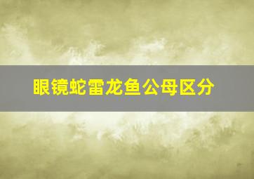 眼镜蛇雷龙鱼公母区分