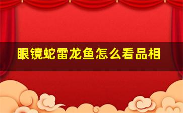 眼镜蛇雷龙鱼怎么看品相