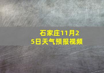 石家庄11月25日天气预报视频