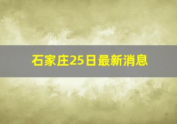 石家庄25日最新消息