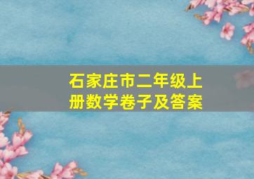 石家庄市二年级上册数学卷子及答案