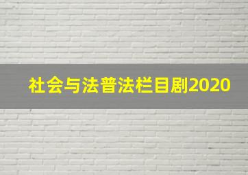 社会与法普法栏目剧2020