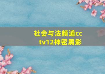 社会与法频道cctv12神密黑影