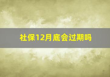 社保12月底会过期吗