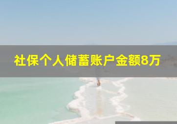 社保个人储蓄账户金额8万