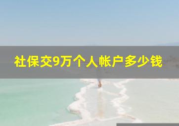 社保交9万个人帐户多少钱