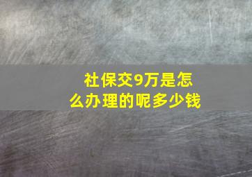 社保交9万是怎么办理的呢多少钱