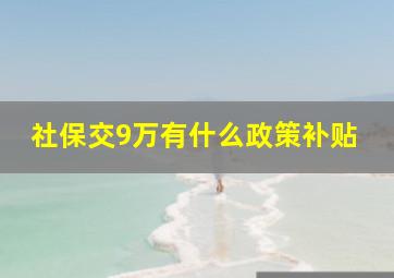 社保交9万有什么政策补贴