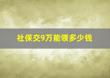 社保交9万能领多少钱