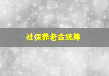 社保养老金统筹