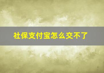 社保支付宝怎么交不了