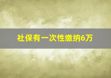 社保有一次性缴纳6万