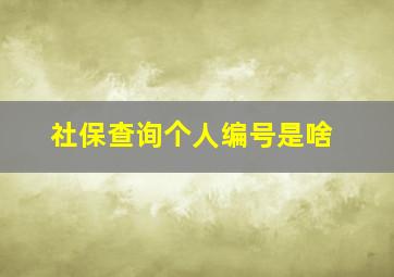 社保查询个人编号是啥