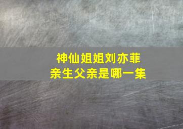 神仙姐姐刘亦菲亲生父亲是哪一集