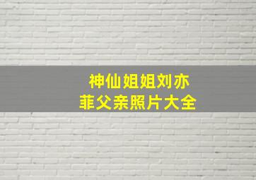 神仙姐姐刘亦菲父亲照片大全