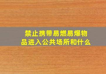 禁止携带易燃易爆物品进入公共场所和什么