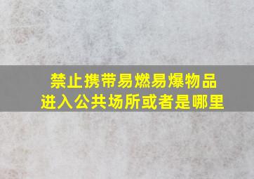 禁止携带易燃易爆物品进入公共场所或者是哪里