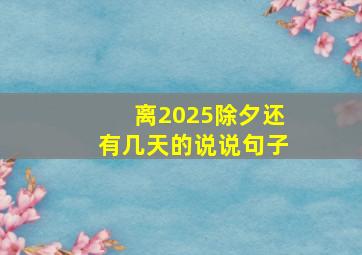 离2025除夕还有几天的说说句子