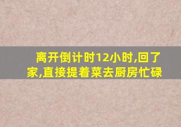 离开倒计时12小时,回了家,直接提着菜去厨房忙碌