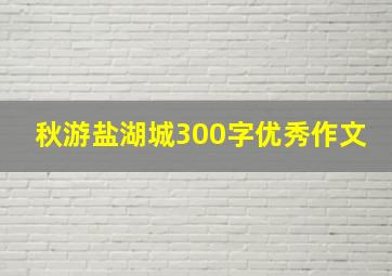 秋游盐湖城300字优秀作文