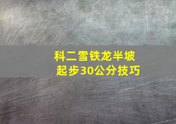 科二雪铁龙半坡起步30公分技巧