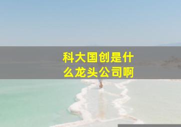 科大国创是什么龙头公司啊