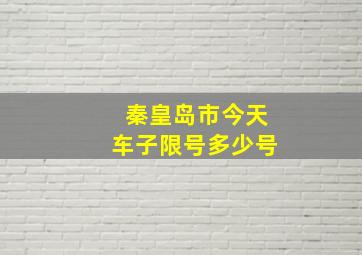 秦皇岛市今天车子限号多少号