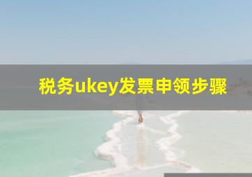 税务ukey发票申领步骤