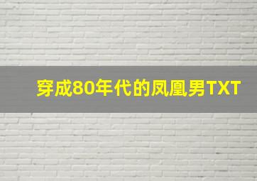 穿成80年代的凤凰男TXT