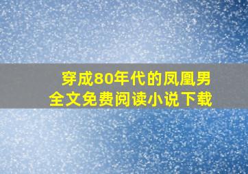 穿成80年代的凤凰男全文免费阅读小说下载