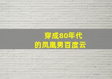 穿成80年代的凤凰男百度云