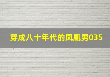 穿成八十年代的凤凰男035