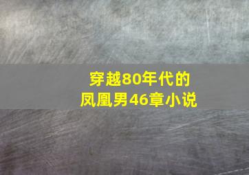 穿越80年代的凤凰男46章小说