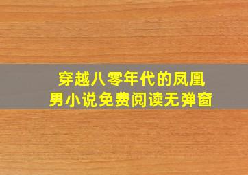 穿越八零年代的凤凰男小说免费阅读无弹窗