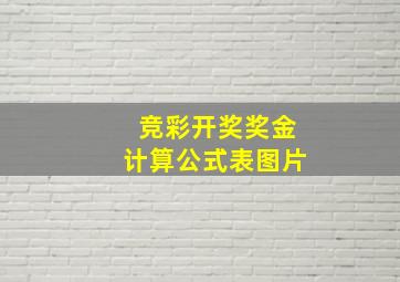 竞彩开奖奖金计算公式表图片